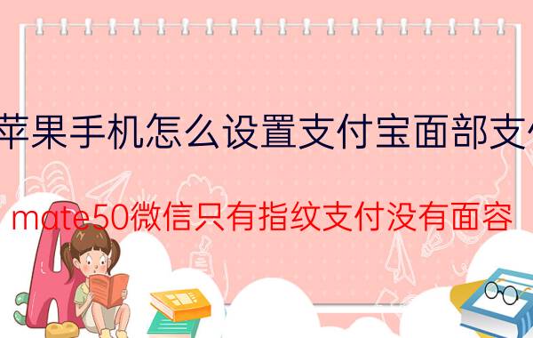 苹果手机怎么设置支付宝面部支付 mate50微信只有指纹支付没有面容？